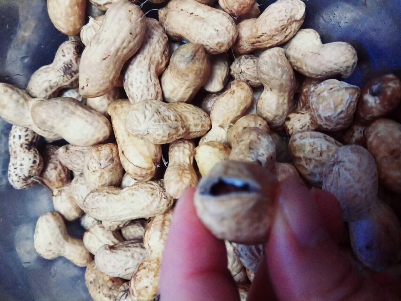 不小心吃了臭花生,不小心吃发霉花生