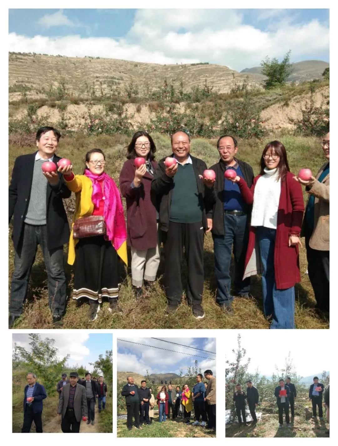 省诗歌创研会武山采风作品集(一)