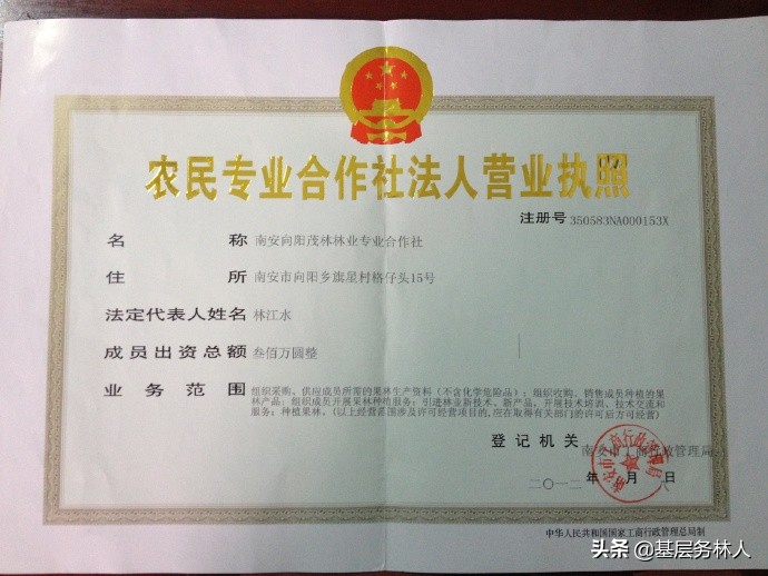 林业专业合作社经营范围,林业合作社申请条件