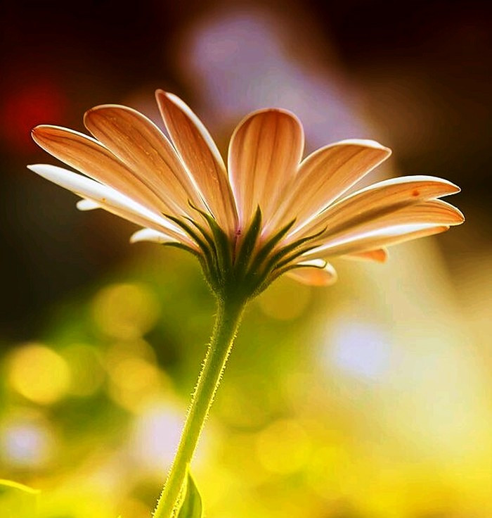 朋友圈说说大全简约又精致的句子,朋友圈说说精致的句子