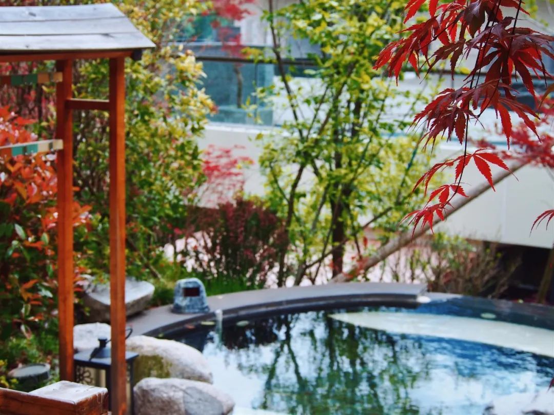 暑假来了！这个安全又宝藏的川西仙境，夏天只有15°