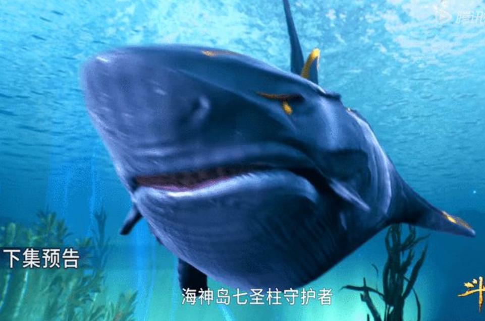 海神成神后如此无情，没有带大白鲨成神就算了，连实力也没增长