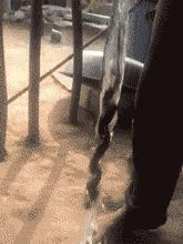 游泳从水里捞的东西,游泳有水蛇吗