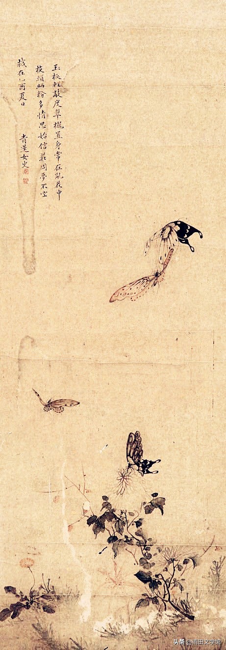 影梅庵忆语讲的什么,影梅庵忆语全文