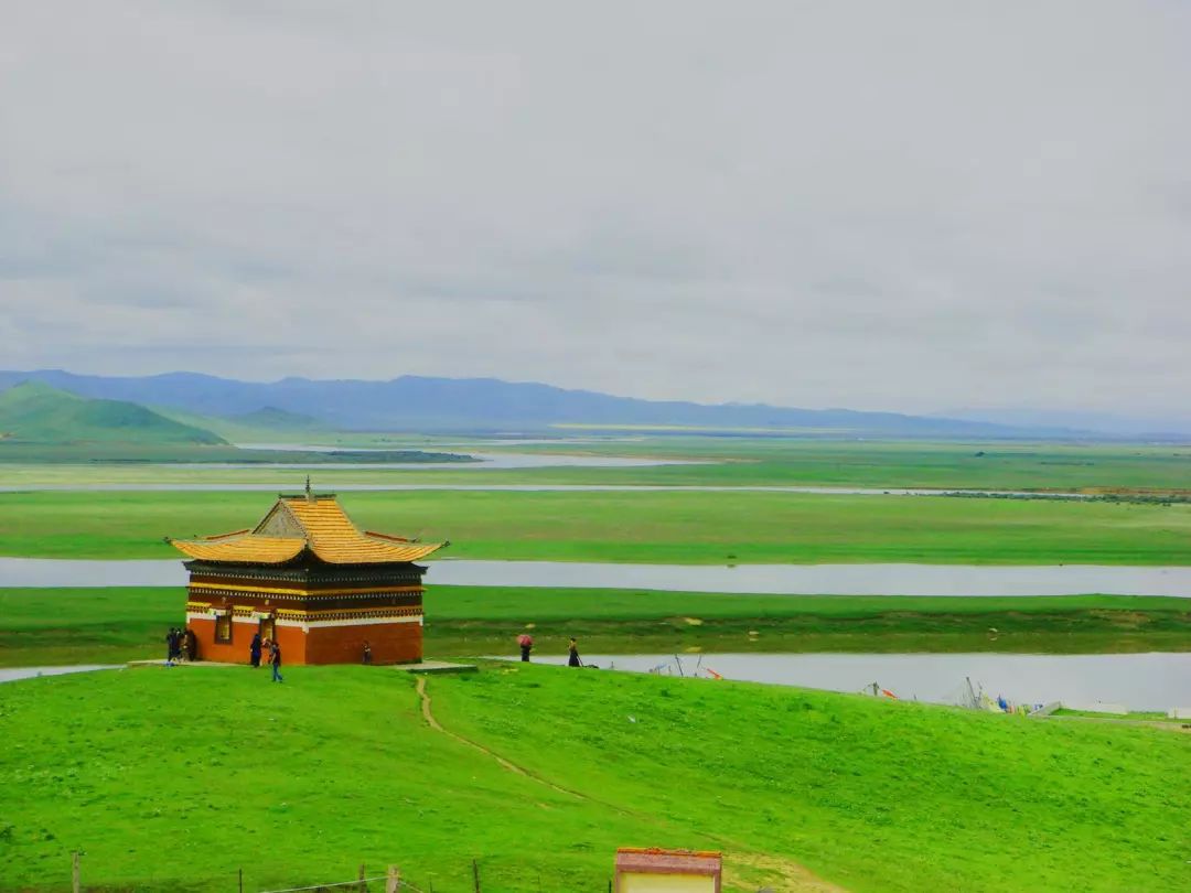 若诗若画若尔盖美景,若诗若画若尔盖文案