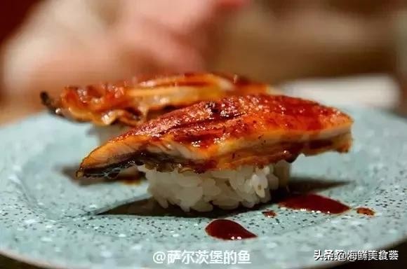 32种经典寿司做法视频,寿司常用的鱼