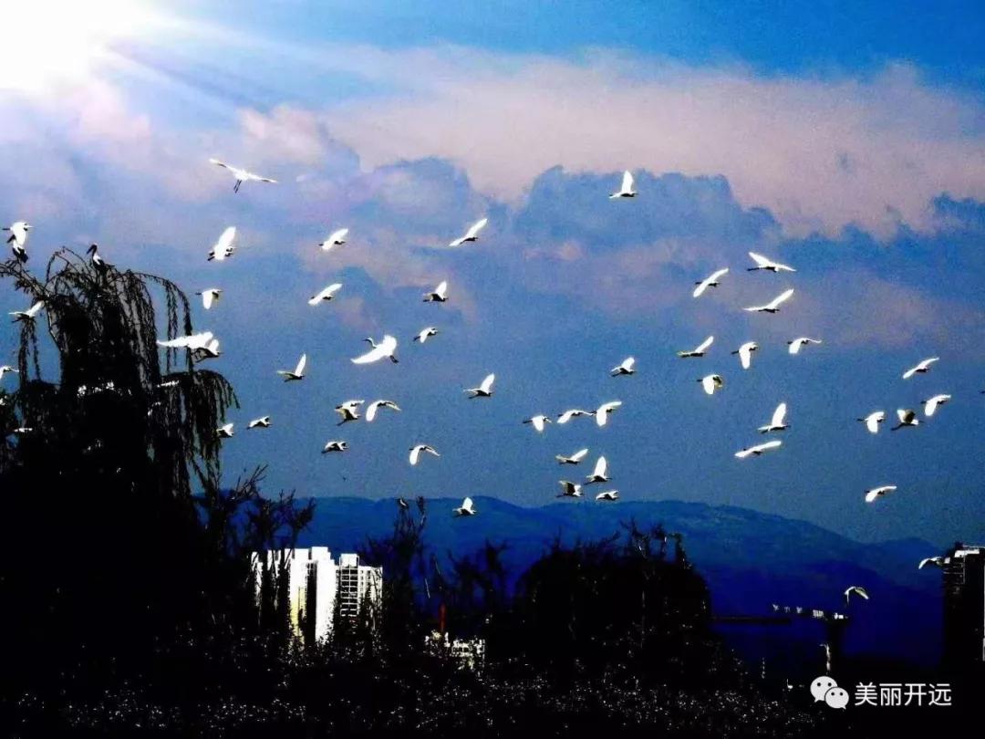 2019年,时光写就这样的开远