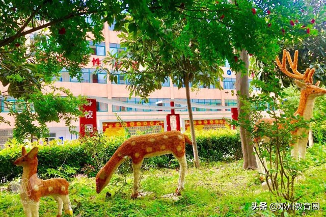 邓州市致远实验学校：桥边观鱼，竹下吟诗！真是师生进校入画来