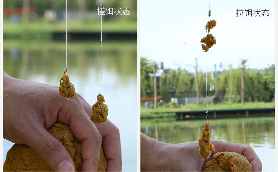 干货无死角青鱼黑坑的上岸攻略,新手玩黑坑选什么竿子