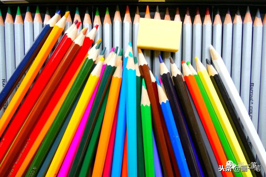 用彩铅简单画法画榴莲,彩铅画画昆虫