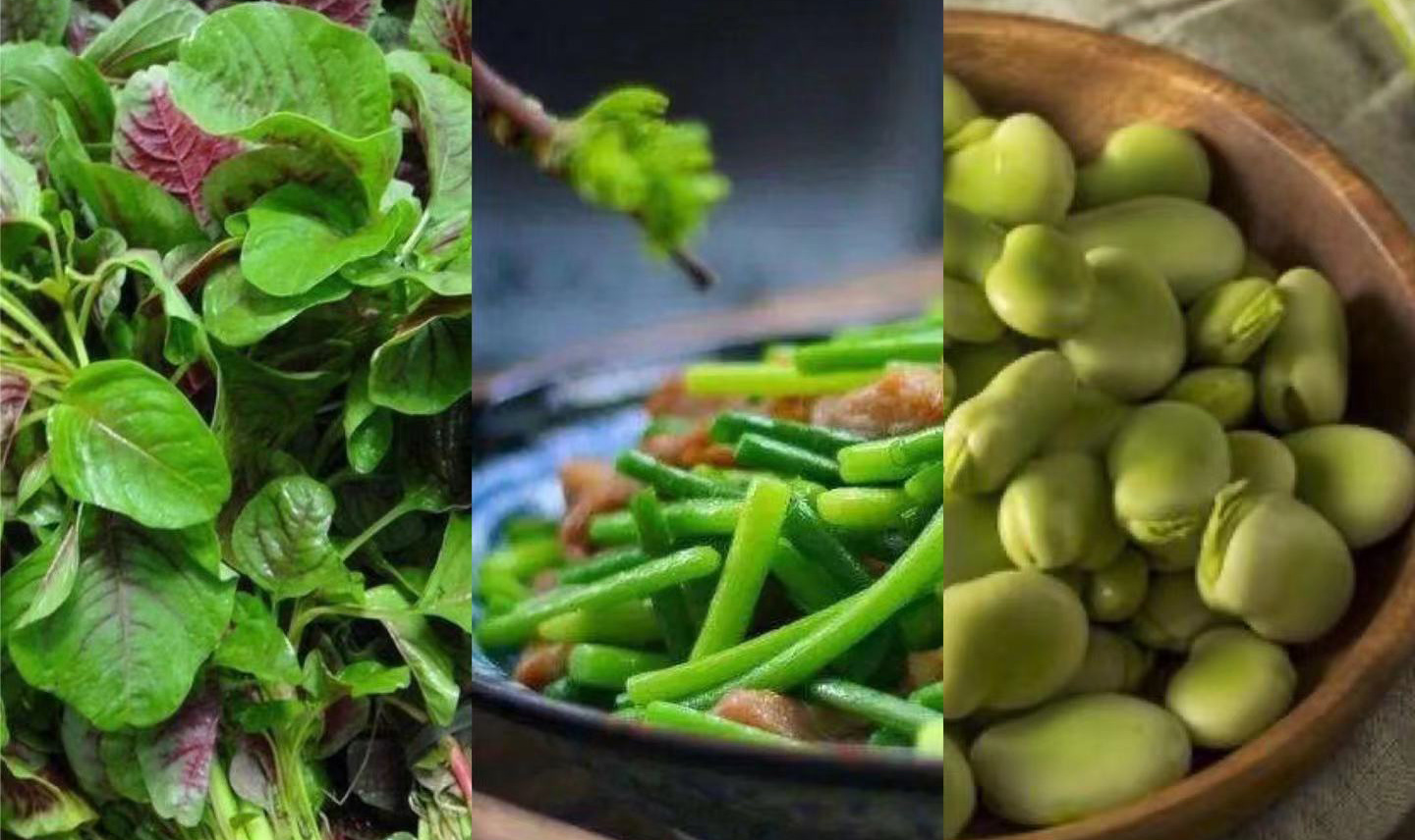 二十四节气立夏ppt课件免费,二十四节气立夏的诗句古诗