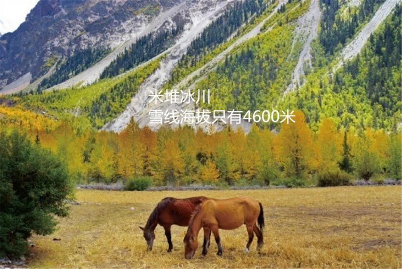 成都到拉萨海拔线路图,成都到拉萨自驾海拔图