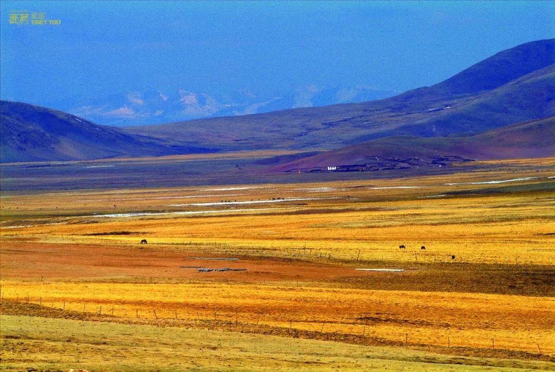 钘忎笢鏄庣彔鏄岄兘瑙嗛,鏄岄兘涓轰粈涔堝彨钘忎笢鏄庣彔