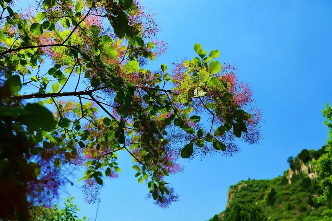 临朐石门坊风景区路线,临朐石门坊风景区
