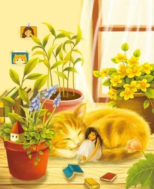 思睿兔最易陷入的三大误区,思睿兔育儿知识