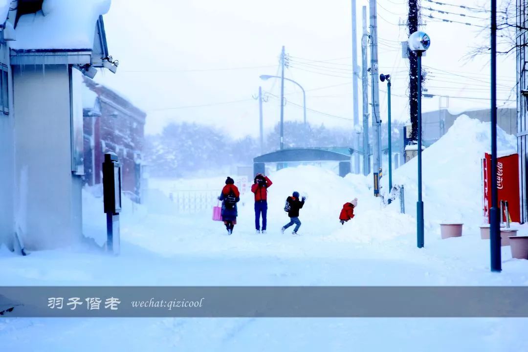 老实说，这一趟北海道就是为了拍好看的照片去的