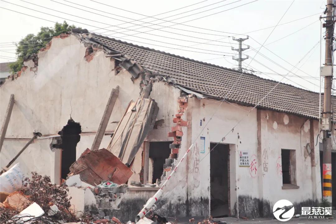 慈溪打听猫,慈溪要搬迁的村庄