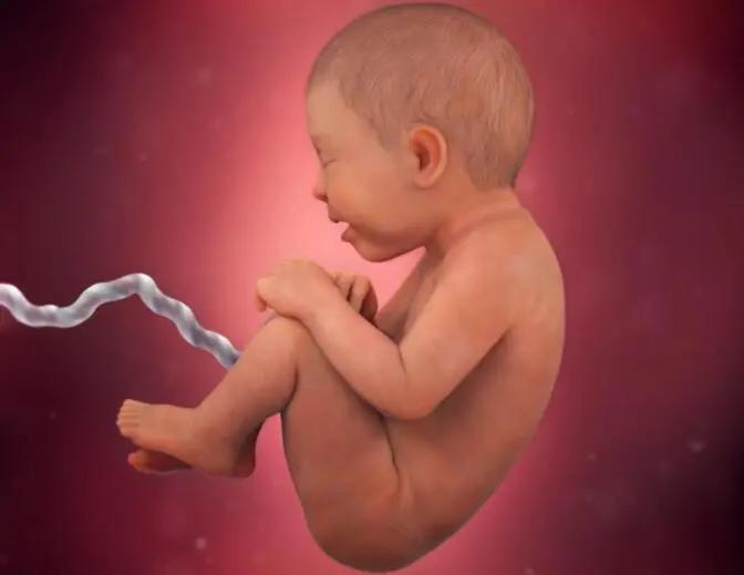 40岁胡杏儿孕照,胡杏儿7个月孕肚大片