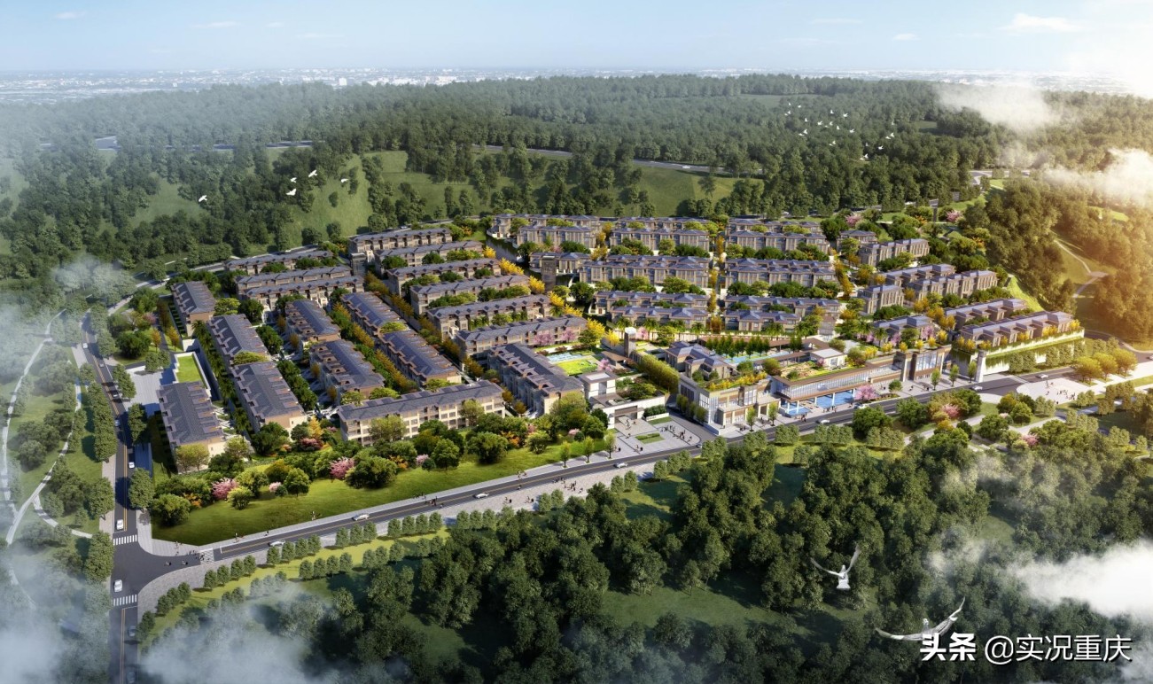 被低估的南部新城,被低估的宝藏城市