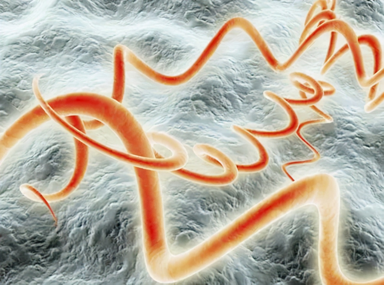 梅毒历史解说视频,历史上的梅毒怎么消灭的