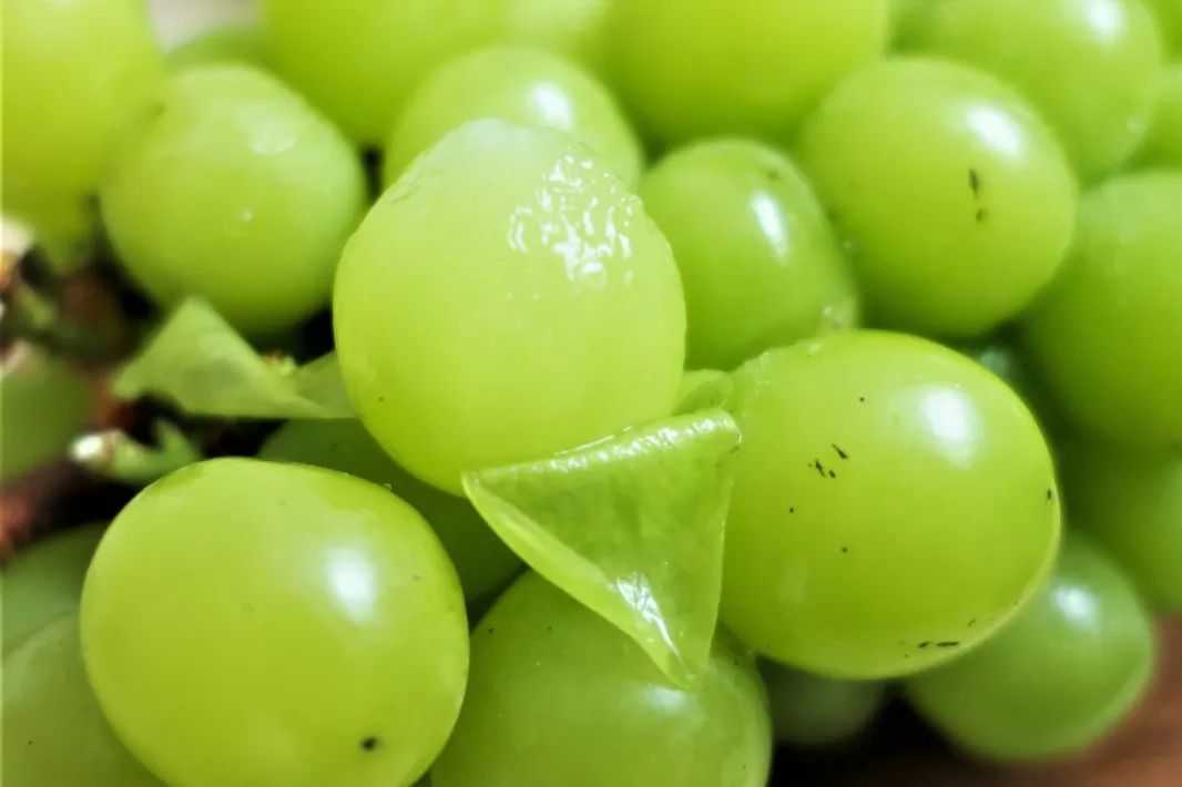 葡萄界的爱马仕晴王,葡萄界中的爱马仕跌落