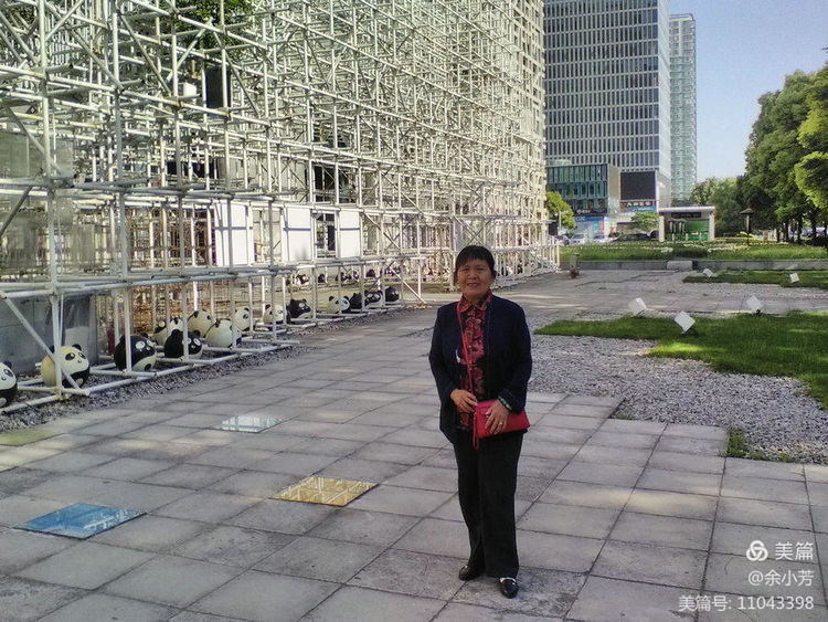 上海新国际博览中心延期,上海新国际博览中心在哪