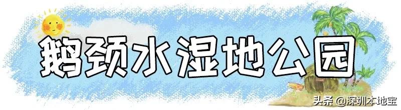 深圳免费的景点有哪些地方,深圳有哪些免费又好玩的地方景点