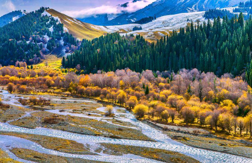 古诗野望的千古名句,《野望》诗词欣赏