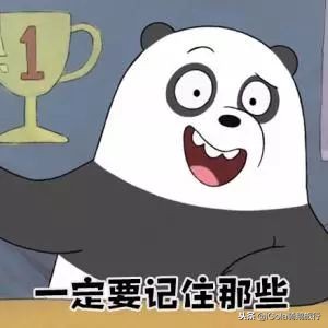 廉航低成本航空,廉航与普通航空选择