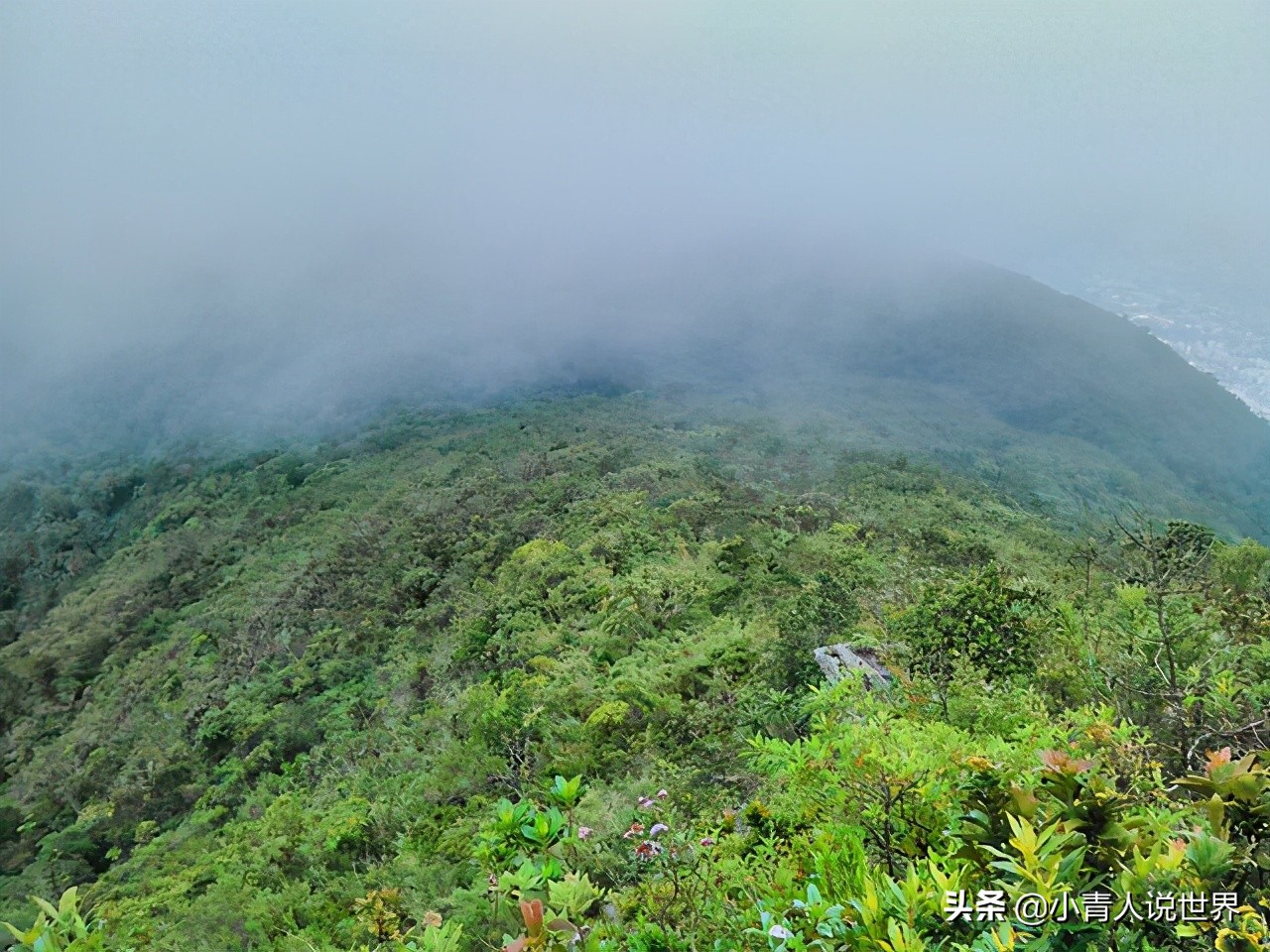 石油资源丰富的国家,石油最多的国家委内瑞拉