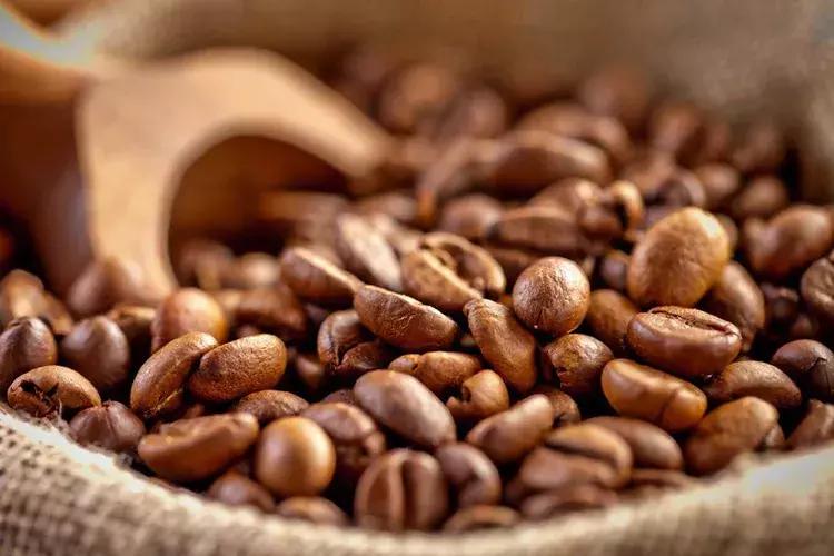 twoshot是什么咖啡,two到底是什么