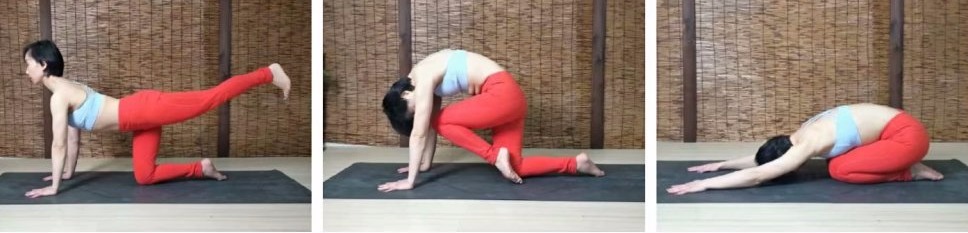 精准瑜伽60分钟排课体式串联,双人瑜伽体式串联排课加口令