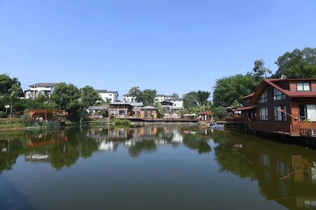 厉害了我的国中兴事件,厉害了我的国相关事件是哪一期