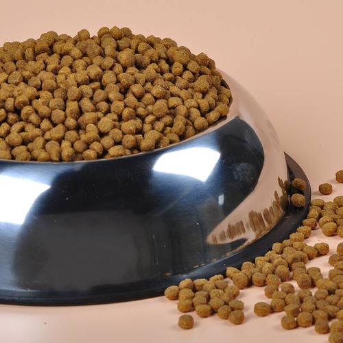 狗狗美毛选哪款狗粮,益生臻选狗粮怎么样