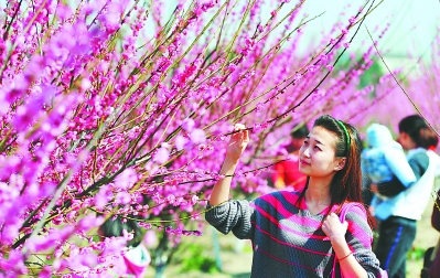 闲看庭前花开花落全诗,闲听花开花落整首诗