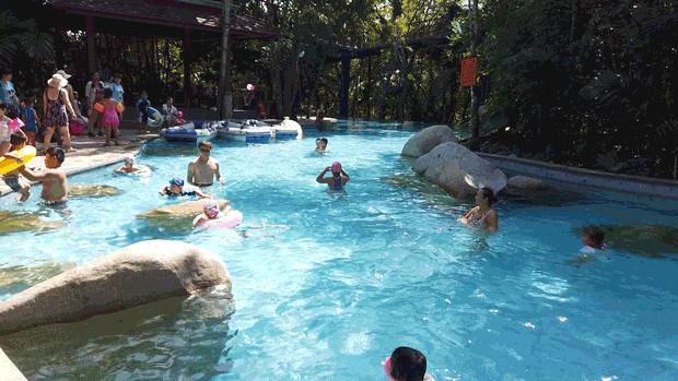 金秋多彩季，春晖幼儿园雨林仙境一日游