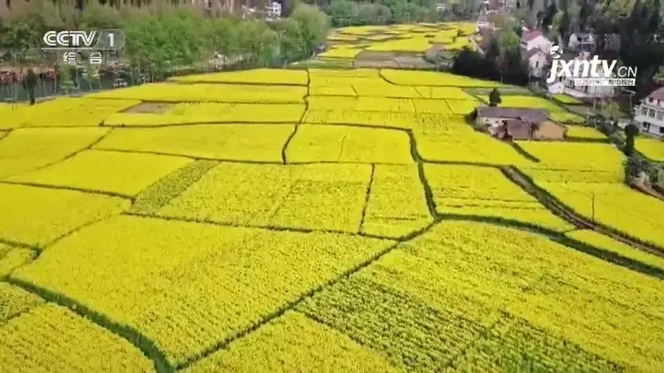 换一个角度看世界风景不同的美,换一个角度看美景
