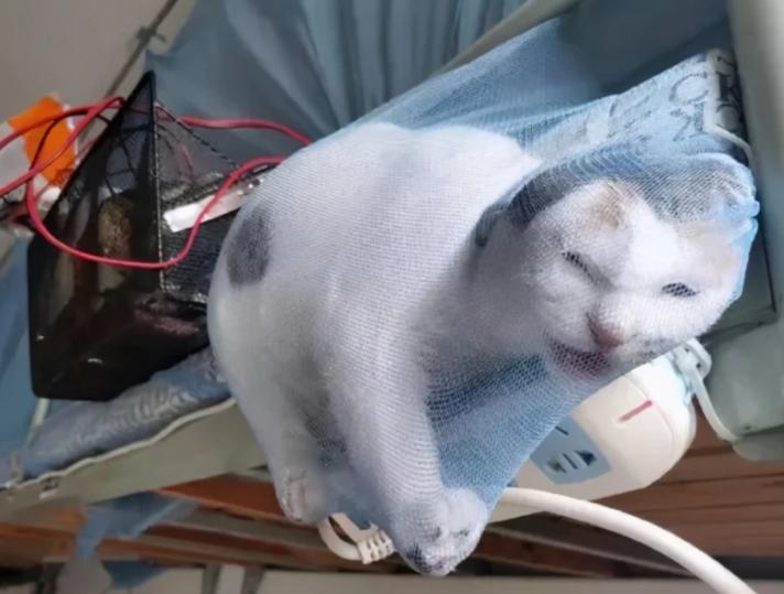 大学生宿舍查出违规用品,高校宿舍违规用品