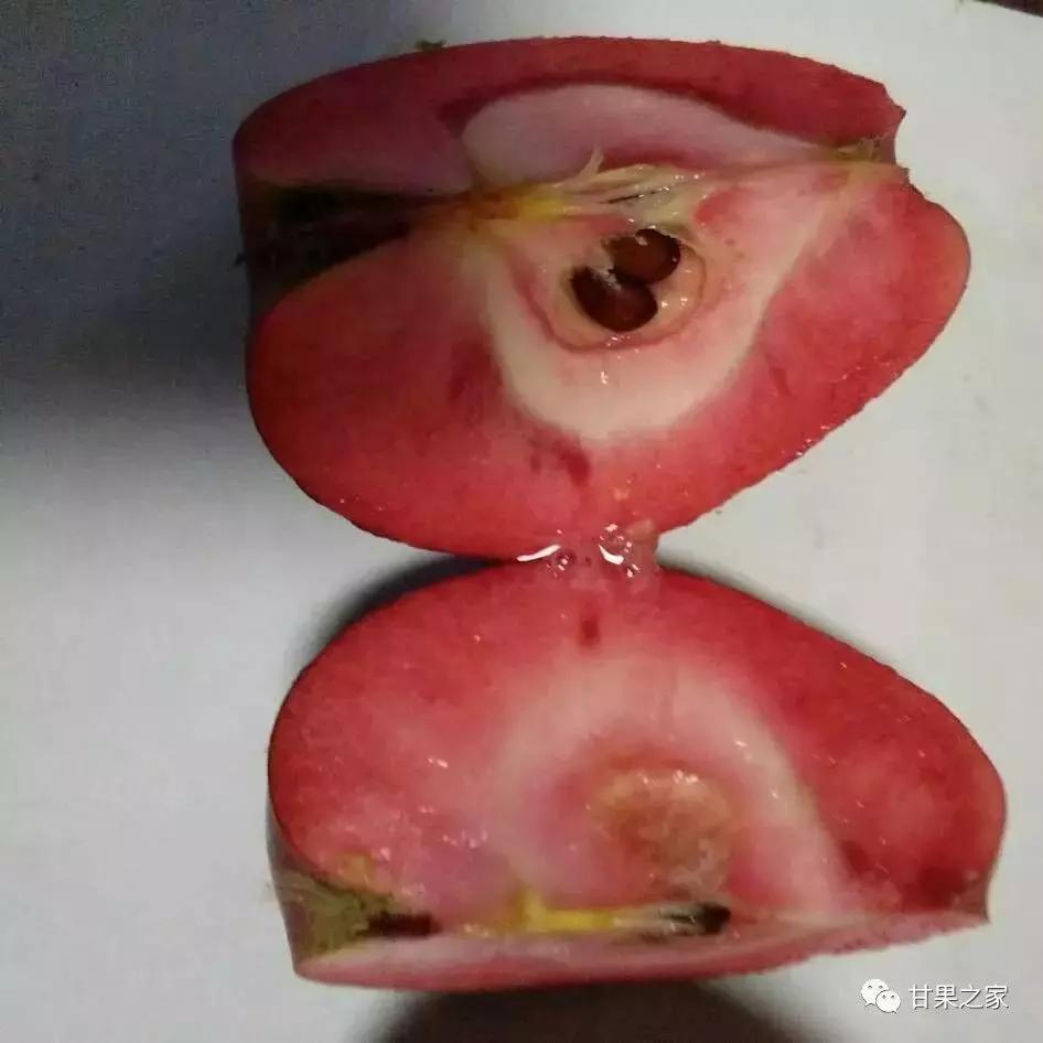 最新的苹果新品种有哪些,几种常见苹果的品种