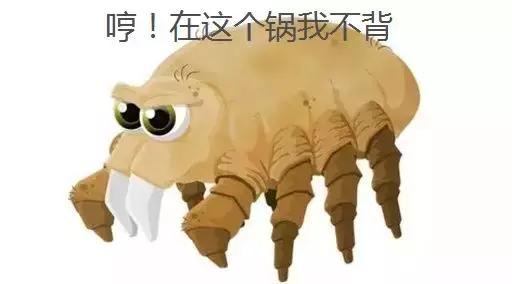 除螨产品可靠吗,除螨的产品真的管用吗