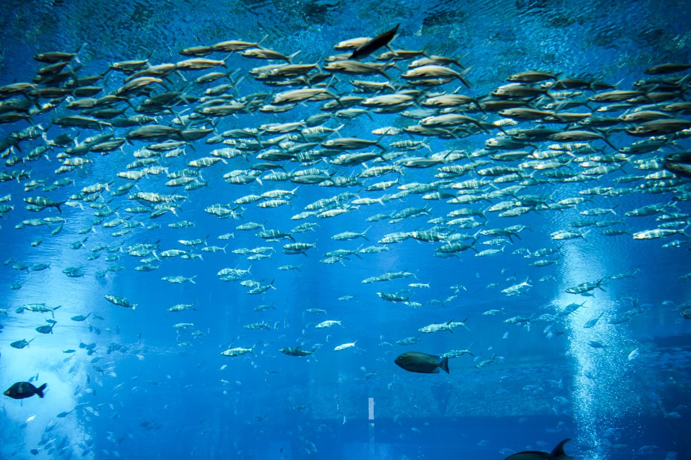 去三亚玩住康养公寓,去三亚玩住公寓