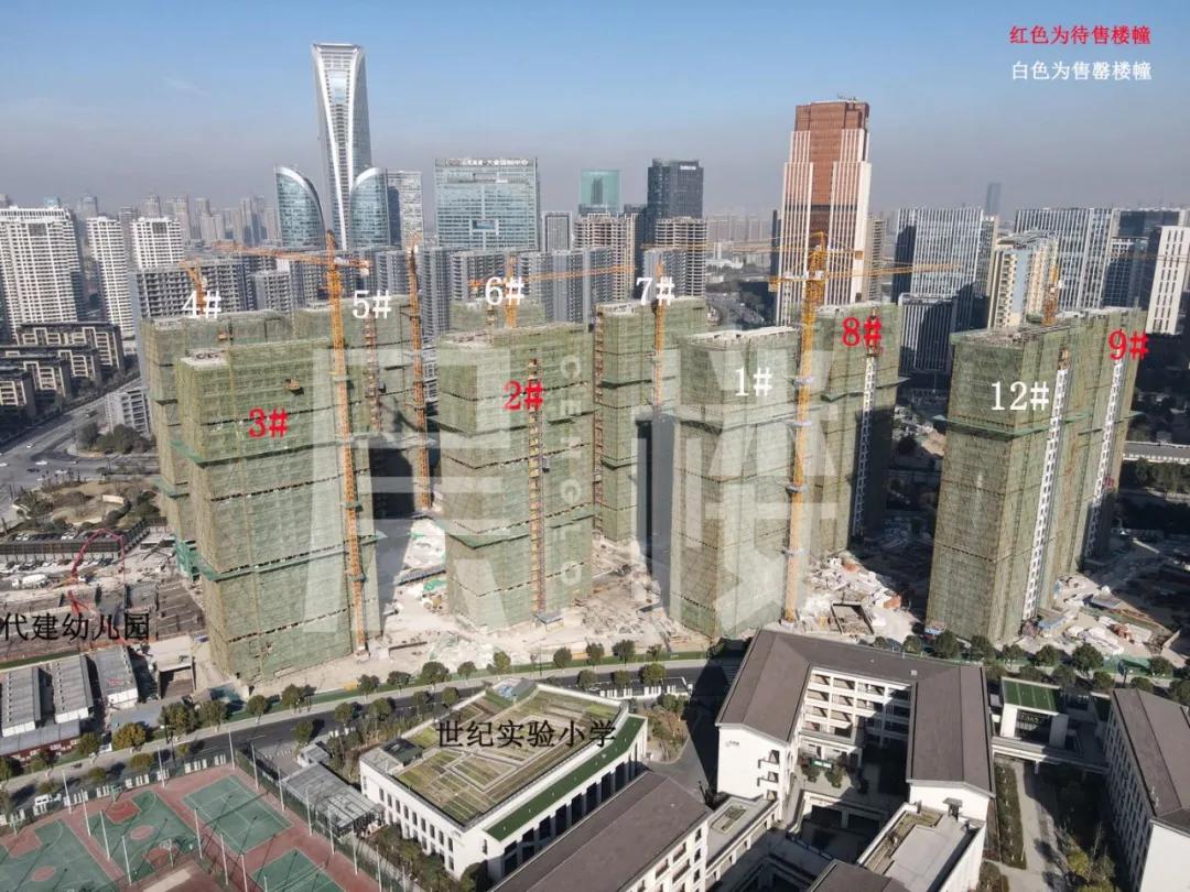 滨江三品摇号技巧,滨江三期什么时候摇号