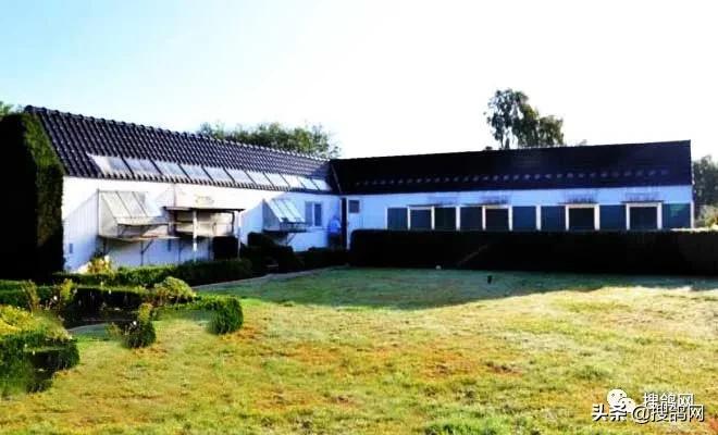 冠军孵化器——福雷迪和雅克.范希兄弟鸽舍