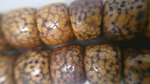 文玩老珠,文玩老珠子手串