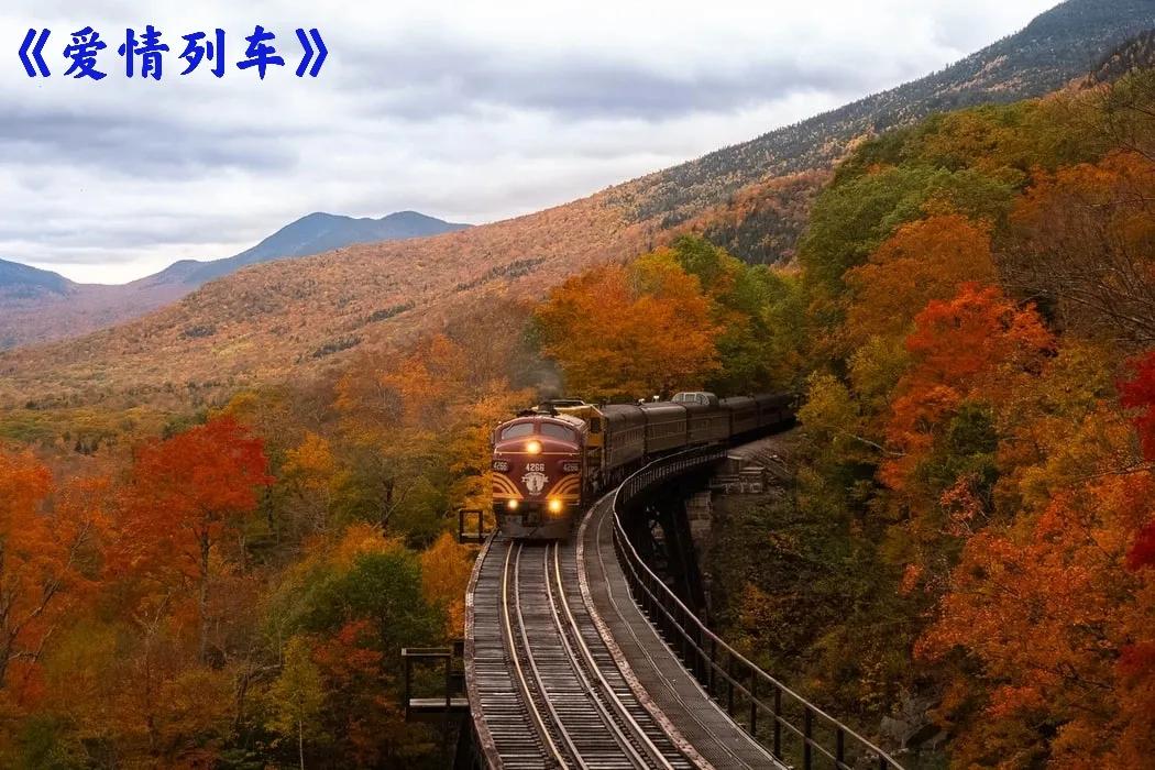 第57篇：花酒旗袍待火车，南园白桥别杏湖（国庆特辑）