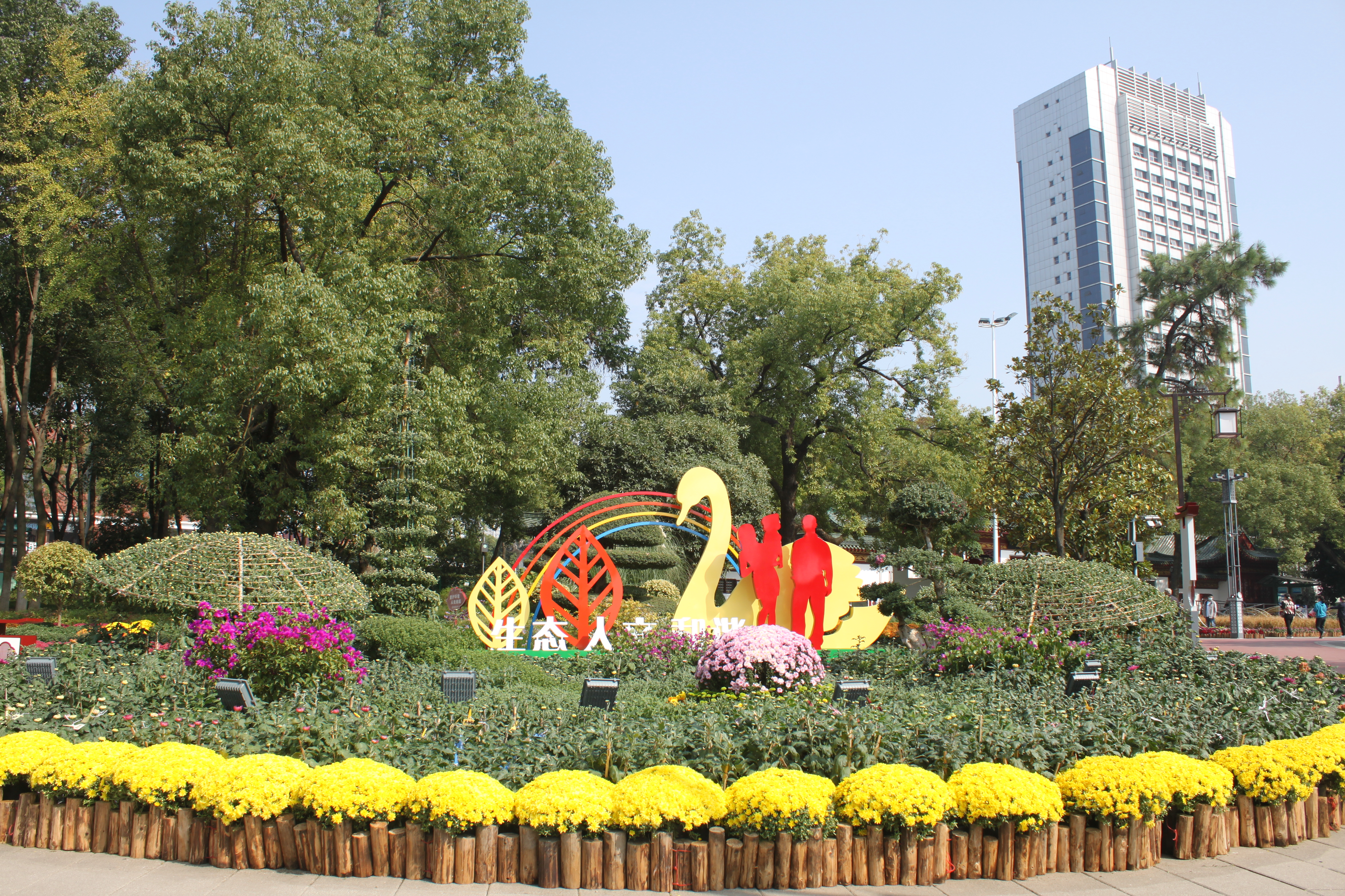 金秋时节菊展赏菊,趁着周末逛菊展