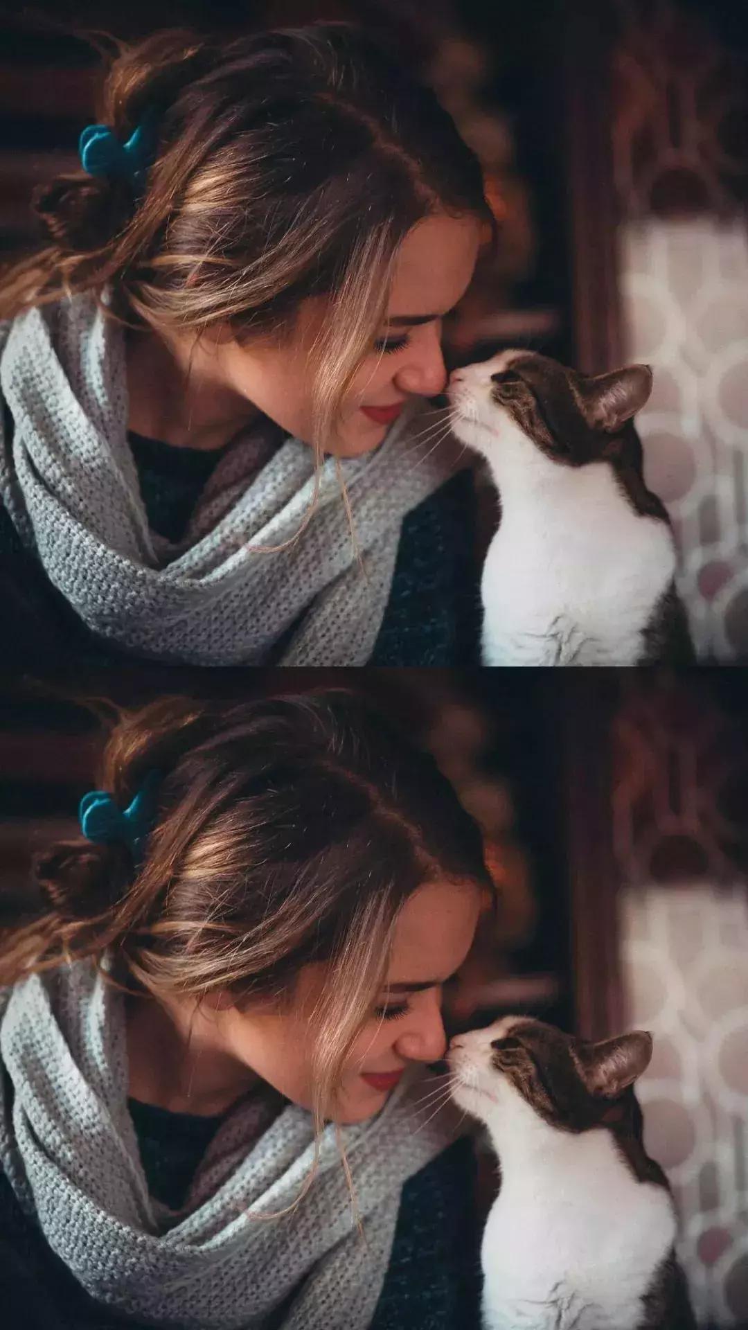 iphone12壁纸超清4k暴力熊,好看的iphone壁纸