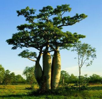 看世界图片素材库,看世界图片背景