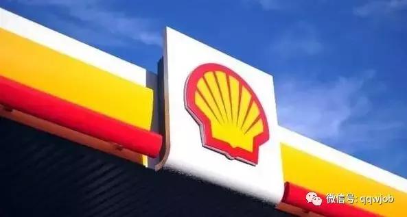壳牌2024校园招聘,壳牌济南招聘