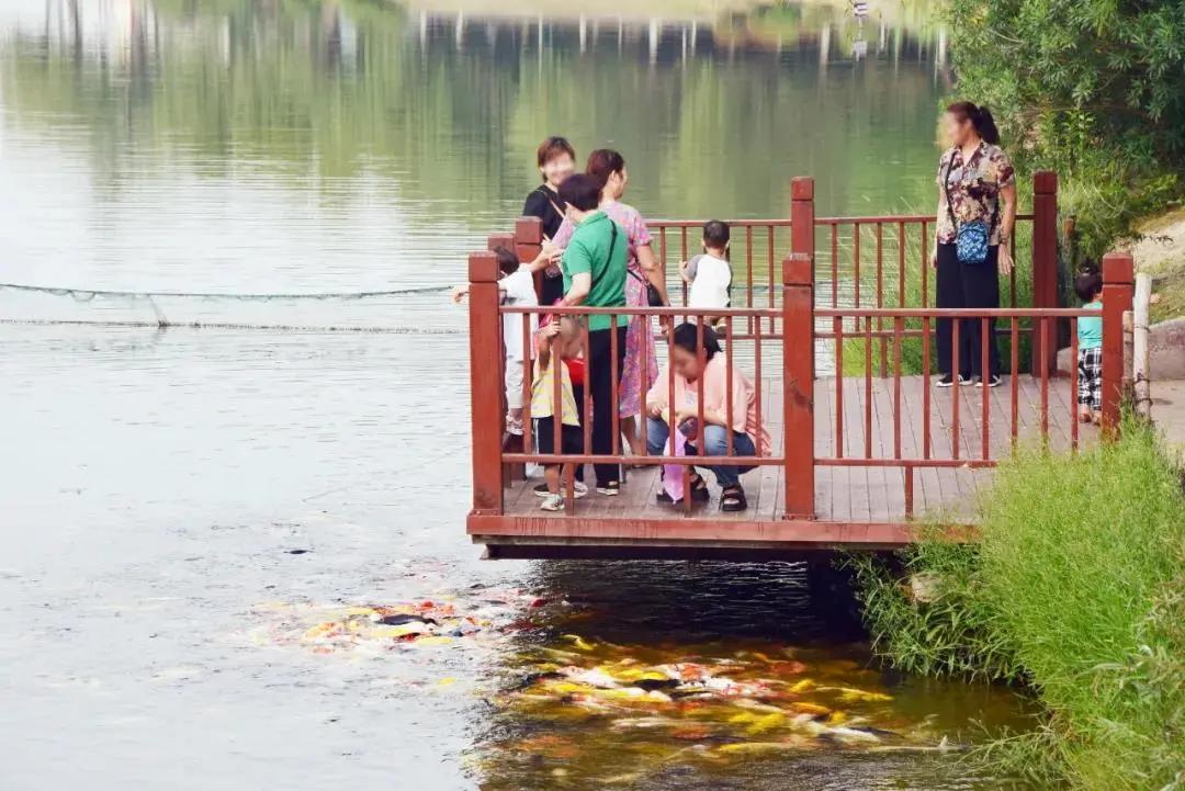 平顶山市新城区值得买的房子,平顶山新城区哪个小区值得买